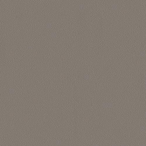 Warm Taupe Wallpaper, Natural Wallpaper, Modern & Minimalist Wall Covering,Modern Look Neutral Colors Glittering Wallcovering