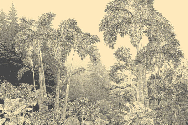 Tropical Trees Wallpaper, Foggy Forest Mural, Oversized Custom Size Wall Art, Non-Woven, Non-Adhesive, Modern Wall Paper, Removable