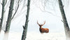 Winter Forest Wallpaper, Deer Mural, Oversized Custom Size Wall Art, Non-Woven, Non-Adhesive, Modern Wall Paper, Removable