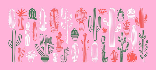 Hand Drawn Cactus Wallpaper, Pink Background Mural, Oversized Custom Size Wall Art, Non - Woven, Non - Adhesive, Modern Wall Paper, Removable - Adawall Wallpaper - Registered Trade Accounts Only, Wallpaper Wholesale Account - W78206 - Adawall Wholesale - Wallpaper Wholesaler