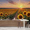 Panaroma Sunflowers, Sunset Wallpaper, Oil Painting Mural, Oversized Custom Size Wall Art, Non - Woven, Non - Adhesive, Modern Wall Paper, Removable - Adawall Wallpaper - Registered Trade Accounts Only, Wallpaper Wholesale Account - W77610 - Adawall Wholesale - Wallpaper Wholesaler