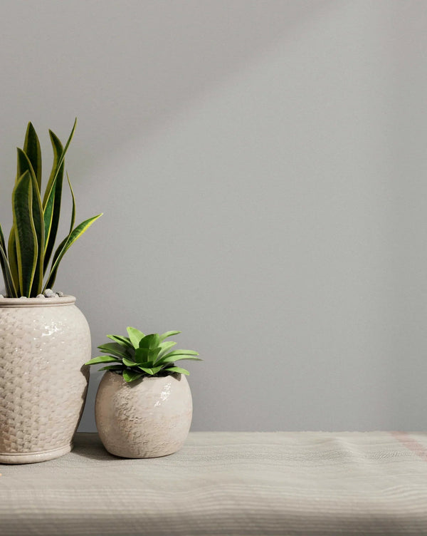 Soft Grey Wallpaper, Textured Wallpaper,Natural Wallpaper, Modern & Minimalist Wall Covering,Modern Look Neutral Colors Glittering Wallcovering - Adawall Wallpaper - Registered Trade Accounts Only, Wallpaper Wholesale Account - 24202-3 - Adawall Wholesale - Wallpaper Wholesaler