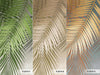 Tropical Tree Leaves Wallpaper, Above the Bed Wall Mural, Yellow Leaves Custom Size Wall Covering, Non - Woven, Non - Pasted, Washable, Removable - Adawall Wallpaper - Registered Trade Accounts Only, Wallpaper Wholesale Account - FJ312-3 - Adawall Wholesale - Wallpaper Wholesaler