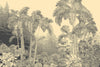 Tropical Trees Wallpaper, Foggy Forest Mural, Oversized Custom Size Wall Art, Non - Woven, Non - Adhesive, Modern Wall Paper, Removable - Adawall Wallpaper - Registered Trade Accounts Only, Wallpaper Wholesale Account - W78148 - Adawall Wholesale - Wallpaper Wholesaler