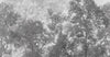 Vintage Trees Scenic Wall Mural, Gray Nature Theme Wallpaper, Oversized Landscape Scene Custom Size Wall Art, Non - Woven, Non - Pasted, Removable - Adawall Wallpaper - Registered Trade Accounts Only, Wallpaper Wholesale Account - SE312-2 - Adawall Wholesale - Wallpaper Wholesaler