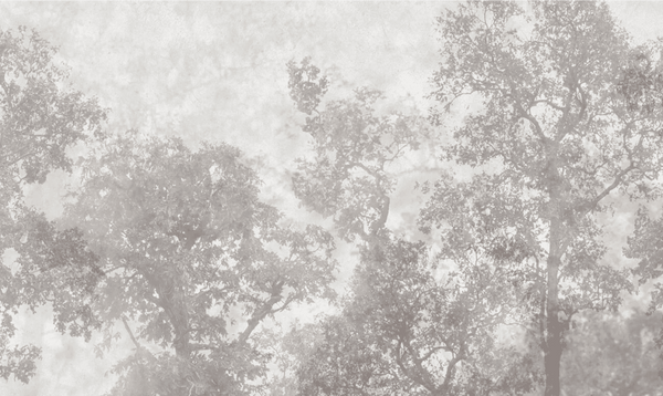 Vintage Trees Scenic Wall Mural, Light Gray Nature Theme Wallpaper, Oversized Landscape Scene Custom Size Wall Art, Non - Woven, Non - Pasted, Removable - Adawall Wallpaper - Registered Trade Accounts Only, Wallpaper Wholesale Account - t_SE312-1 - Adawall Wholesale - Wallpaper Wholesaler