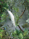 White Chinoiserie Peacock Floral Tropical Custom Wallpaper, Birds Wall Mural, Non - woven Non - Adhesive Wall Paper, Luxury, Large, Removable, Washable Wall Art - Adawall Wallpaper - Registered Trade Accounts Only, Wallpaper Wholesale Account - t_A301-1 - Adawall Wholesale - Wallpaper Wholesaler
