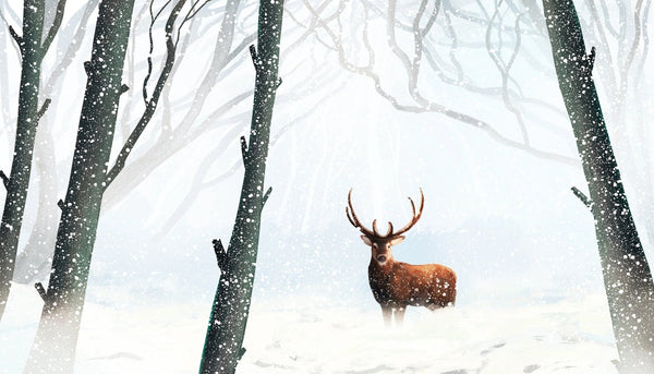 Winter Forest Wallpaper, Deer Mural, Oversized Custom Size Wall Art, Non - Woven, Non - Adhesive, Modern Wall Paper, Removable - Adawall Wallpaper - Registered Trade Accounts Only, Wallpaper Wholesale Account - W78162 - Adawall Wholesale - Wallpaper Wholesaler