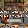 Can You Wallpaper Over Damp Walls?