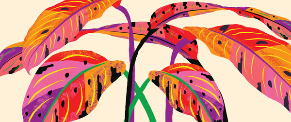 Tropical Plant Wallpaper, Colorful Leaves Mural, Oversized Custom Size Wall Art, Non-Woven, Non-Adhesive, Modern Wall Paper, Removable