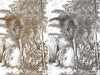 Black and White Palm Trees Drawing Wallpaper, Large Hand Drawn Wall Mural, Custom Size Wall Covering, Non-Woven, Non-Pasted, Washable, Removable - Walloro High End Wallcoverings & More