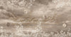 Celestial Moon Wall Mural, Moon Phases Beige Wallpaper, Large Space Custom Size Wall Covering, Non - Woven, Non - Pasted, Removable, Washable, Art - Adawall Wallpaper - Registered Trade Accounts Only, Wallpaper Wholesale Account - SE303-2 - Adawall Wholesale - Wallpaper Wholesaler