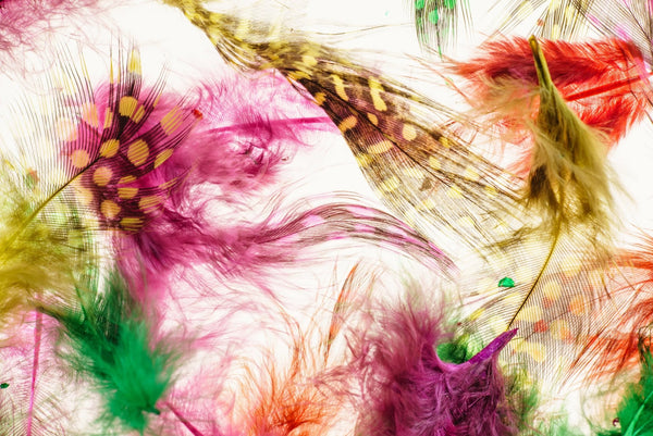 Colorful Feathers Wallpaper, White Background Mural, Oversized Custom Size Wall Art, Non - Woven, Non - Adhesive, Modern Wall Paper, Removable - Adawall Wallpaper - Registered Trade Accounts Only, Wallpaper Wholesale Account - W77601 - Adawall Wholesale - Wallpaper Wholesaler