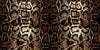 Dark Snake Skin Wallpaper, Seamless Pattern Mural, Oversized Custom Size Wall Art, Non - Woven, Non - Adhesive, Modern Wall Paper, Removable - Adawall Wallpaper - Registered Trade Accounts Only, Wallpaper Wholesale Account - W77974 - Adawall Wholesale - Wallpaper Wholesaler