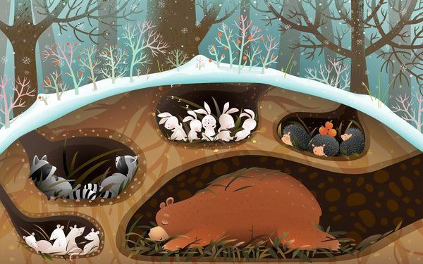 Forest Animals Wallpaper, Sleeping in Den Mural, Oversized Custom Size Wall Art, Non - Woven, Non - Adhesive, Modern Wall Paper, Removable - Adawall Wallpaper - Registered Trade Accounts Only, Wallpaper Wholesale Account - W78118 - Adawall Wholesale - Wallpaper Wholesaler