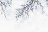 Large Blossom Tree Wallpaper, Blue Chinoiserie Nature Flowers Wall Mural, Custom Size Wall Covering, Non - Woven, Non - Pasted, Removable, Washable, Floral Art - Adawall Wallpaper - Registered Trade Accounts Only, Wallpaper Wholesale Account - FJ302-2 - Adawall Wholesale - Wallpaper Wholesaler