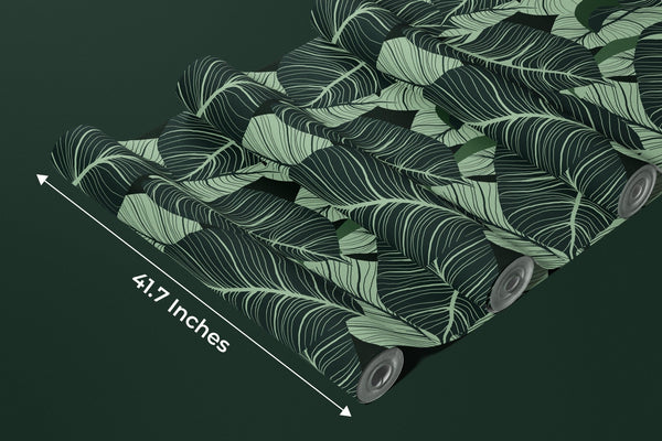Luxury Nature Wallpaper, Green Leaves Mural, Oversized Custom Size Wall Art, Non - Woven, Non - Adhesive, Modern Wall Paper, Removable - Adawall Wallpaper - Registered Trade Accounts Only, Wallpaper Wholesale Account - W77910 - Adawall Wholesale - Wallpaper Wholesaler