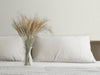 Off White Sparkling Plain Color Textured Wallpaper, Modern Look NEutral Colors Glittering Wallcovering - Adawall Wallpaper - Registered Trade Accounts Only, Wallpaper Wholesale Account - 24201-4 - Adawall Wholesale - Wallpaper Wholesaler