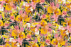 Oil Painted Floral Wallpaper, Seamless Pattern Mural, Oversized Custom Size Wall Art, Non - Woven, Non - Adhesive, Modern Wall Paper, Removable - Adawall Wallpaper - Registered Trade Accounts Only, Wallpaper Wholesale Account - W77959 - Adawall Wholesale - Wallpaper Wholesaler