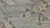 Stylish Floral Wallpaper, White, Silver Embossed Flocked Botanical Blossom Pattern, Bloom Design, Trendy Wall Accent Decoration