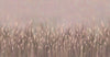 Swaying Wheat Field Wall Mural, Light Purple Windy Wheat Wallpaper, Large Nature Custom Size Wall Covering, Non - Woven, Non - Pasted, Removable, Washable - Adawall Wallpaper - Registered Trade Accounts Only, Wallpaper Wholesale Account - SE302-2 - Adawall Wholesale - Wallpaper Wholesaler
