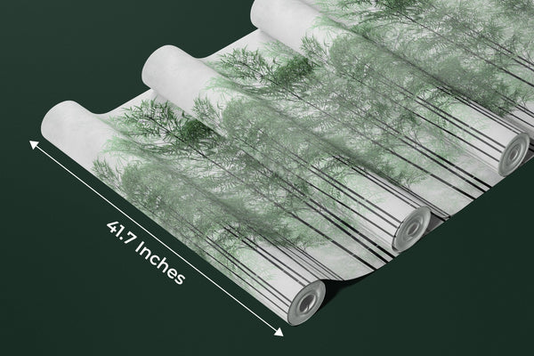 Trees Wallpaper, Foggy Forest Mural, Oversized Custom Size Wall Art, Non - Woven, Non - Adhesive, Modern Wall Paper, Removable - Adawall Wallpaper - Registered Trade Accounts Only, Wallpaper Wholesale Account - W77995 - Adawall Wholesale - Wallpaper Wholesaler