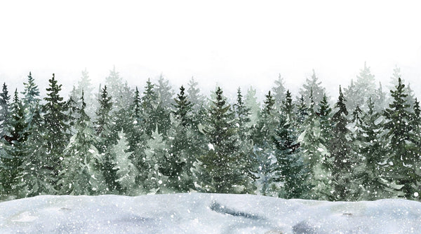 Winter Snowy Forest Wallpaper, Watercolor Mural, Oversized Custom Size Wall Art, Non - Woven, Non - Adhesive, Modern Wall Paper, Removable - Adawall Wallpaper - Registered Trade Accounts Only, Wallpaper Wholesale Account - W77825 - Adawall Wholesale - Wallpaper Wholesaler